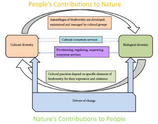 bocultural diversity 2 18 bocultural diversity2 2 18